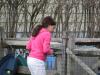 IMG 0938